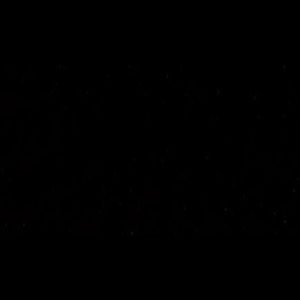 Meet your Posher, Liam